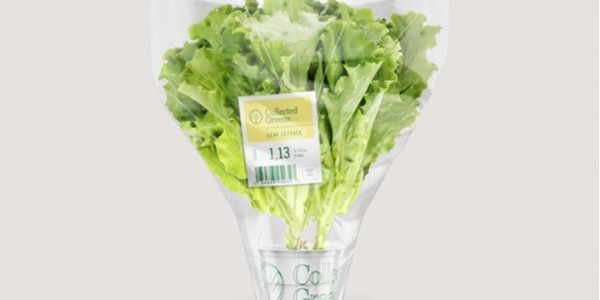 熱（rè）敏紙上（shàng）的字消失了還可（kě）以恢複嗎？