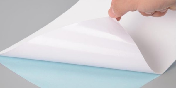 艾利的NW5572不幹膠與普通熱敏紙（zhǐ）NWS612的（de）區別在哪裏？